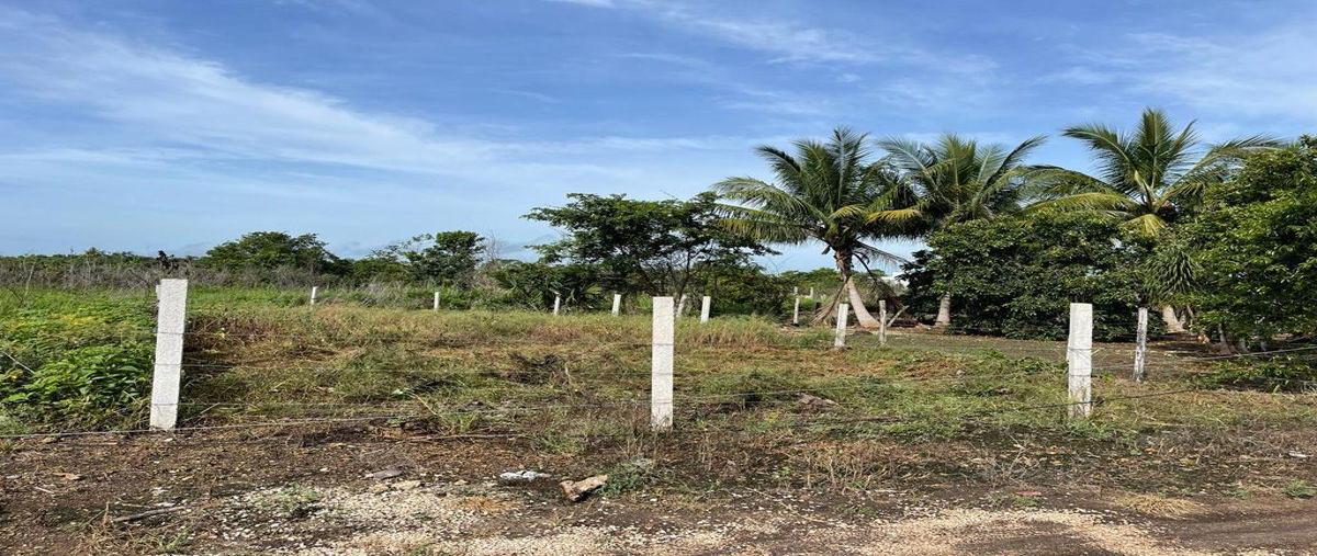 Foto de terreno habitacional en venta en  , bacalar dos, bacalar, quintana roo, 0 No. 03
