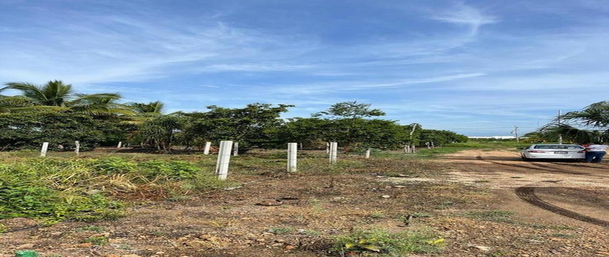 Foto de terreno habitacional en venta en  , bacalar dos, bacalar, quintana roo, 0 No. 04