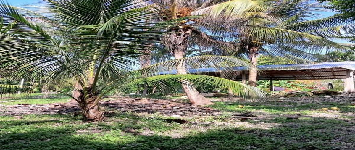 Foto de terreno habitacional en , bacalar dos, bacalar, quintana roo, 0 foto 03 Foto de terreno habitacional en venta en , bacalar dos, bacalar, quintana roo, 0 No. 03