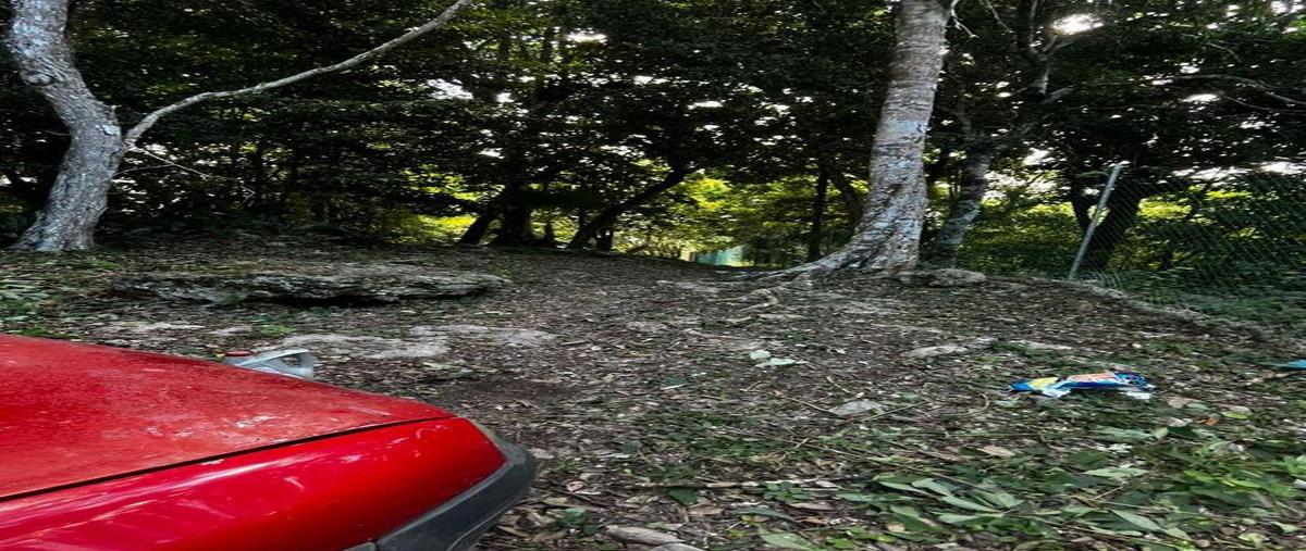 Foto de terreno habitacional en venta en  , bacalar dos, bacalar, quintana roo, 30889583 No. 03