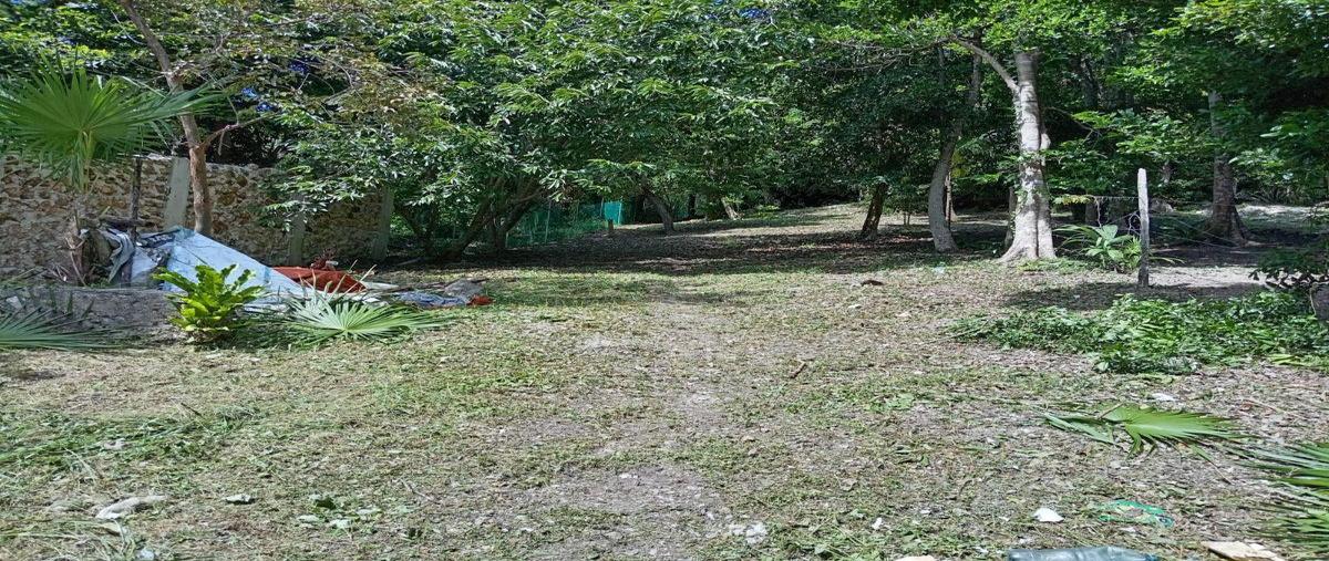 Foto de terreno habitacional en venta en  , bacalar dos, bacalar, quintana roo, 30889583 No. 05