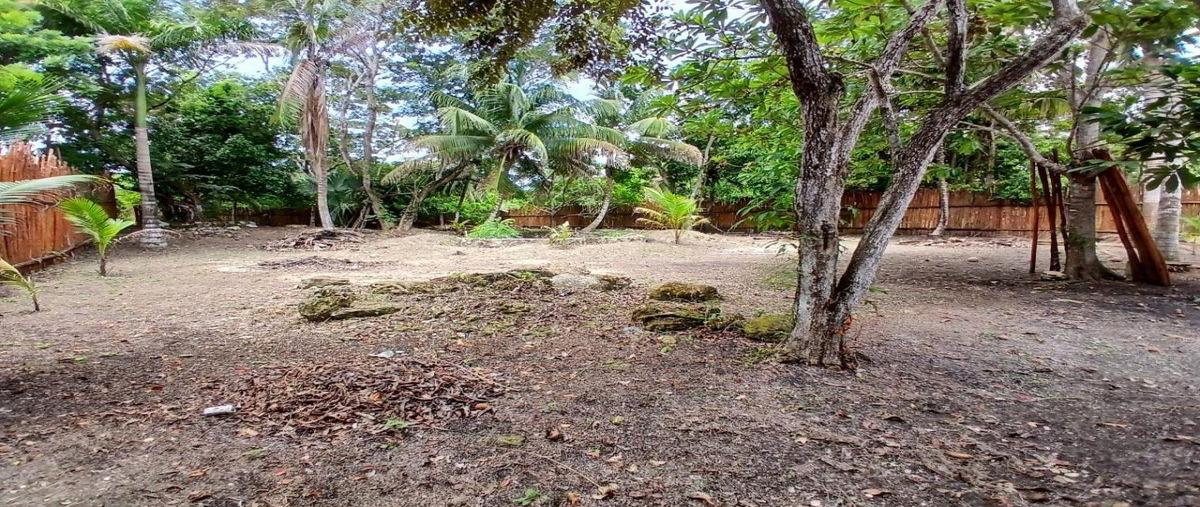 Foto de terreno habitacional en , bacalar dos, bacalar, quintana roo, 0 foto 04 Foto de terreno habitacional en venta en , bacalar dos, bacalar, quintana roo, 0 No. 04