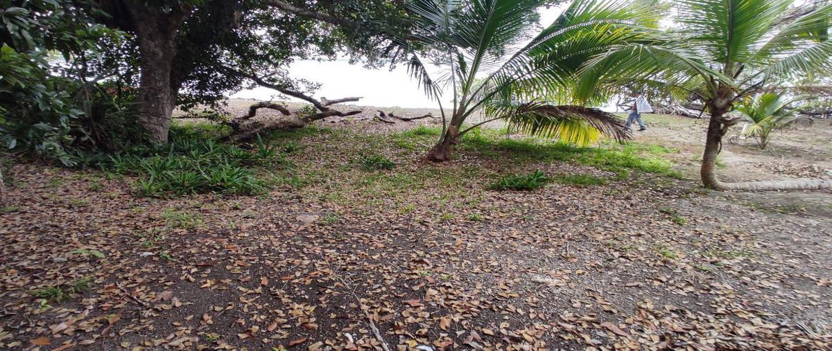 Foto de terreno habitacional en venta en  , bacalar dos, bacalar, quintana roo, 0 No. 03