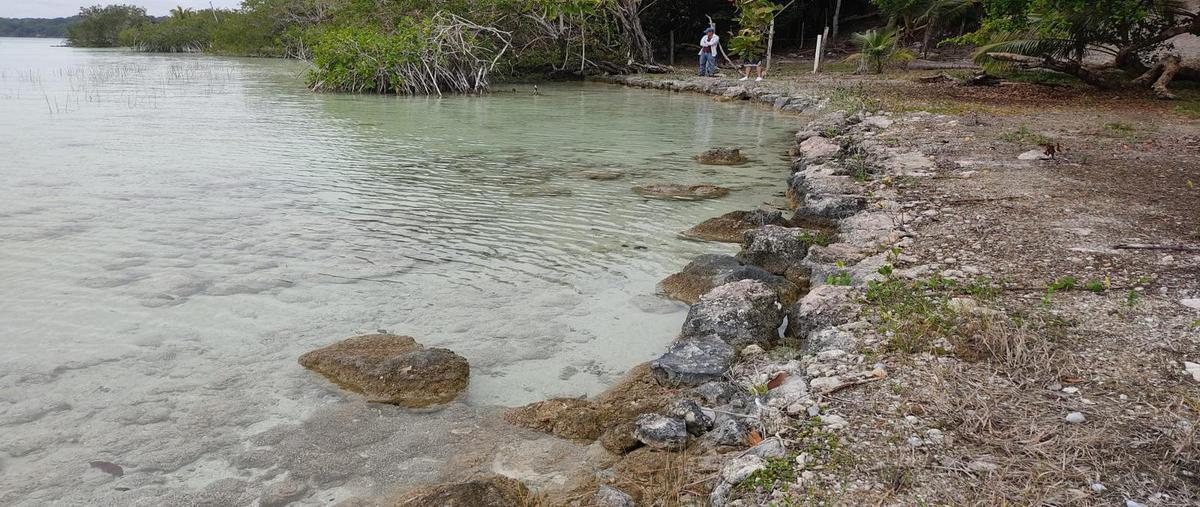 Foto de terreno habitacional en venta en  , bacalar dos, bacalar, quintana roo, 0 No. 04