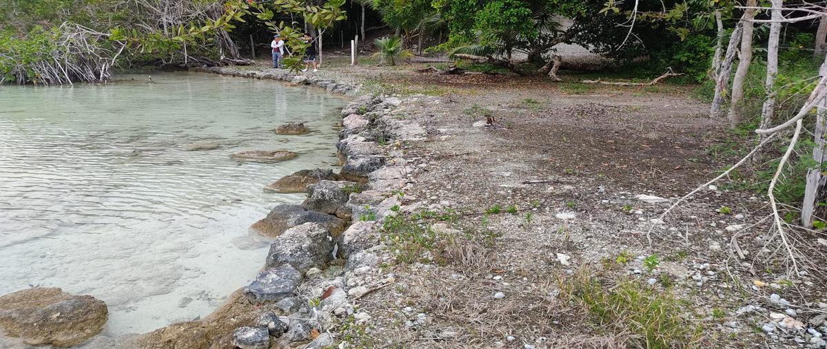 Foto de terreno habitacional en venta en  , bacalar dos, bacalar, quintana roo, 0 No. 05