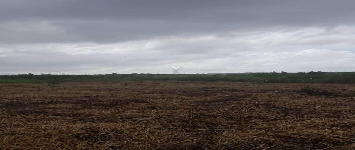 Foto de terreno habitacional en venta en  , bacalar dos, bacalar, quintana roo, 0 No. 03