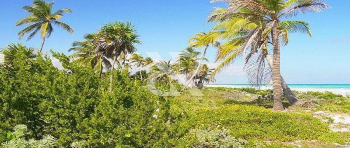 Foto de terreno habitacional en , bacalar dos, bacalar, quintana roo, 0 foto 05 Foto de terreno habitacional en venta en , bacalar dos, bacalar, quintana roo, 0 No. 05