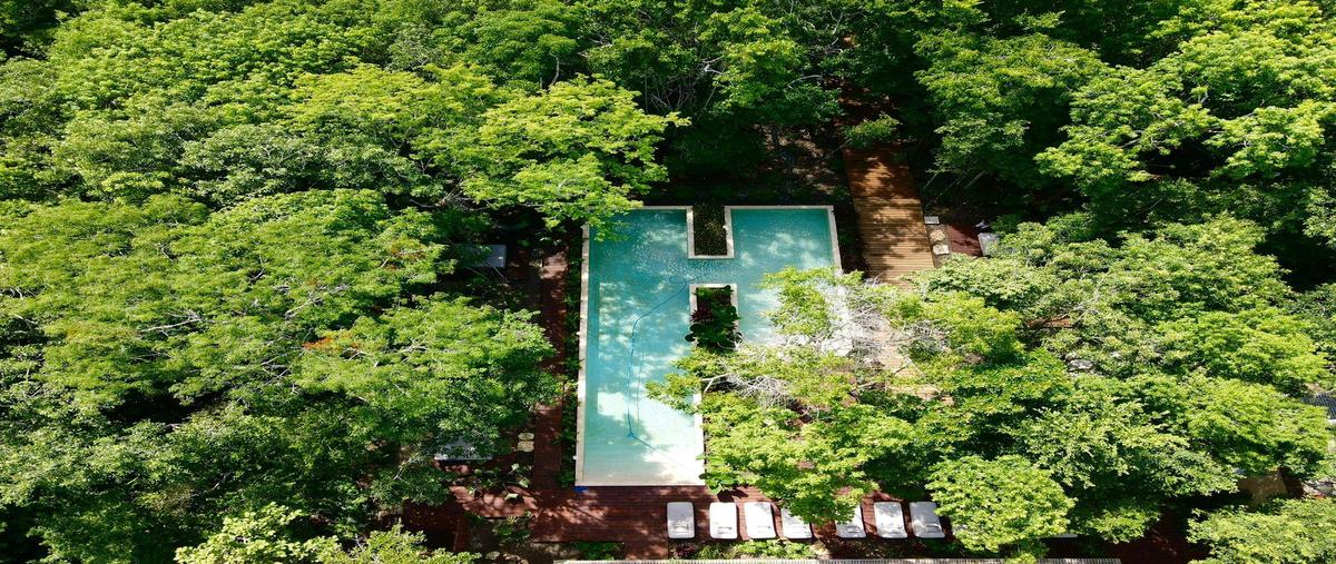 Foto de departamento en venta en  , bacalar dos, bacalar, quintana roo, 0 No. 05