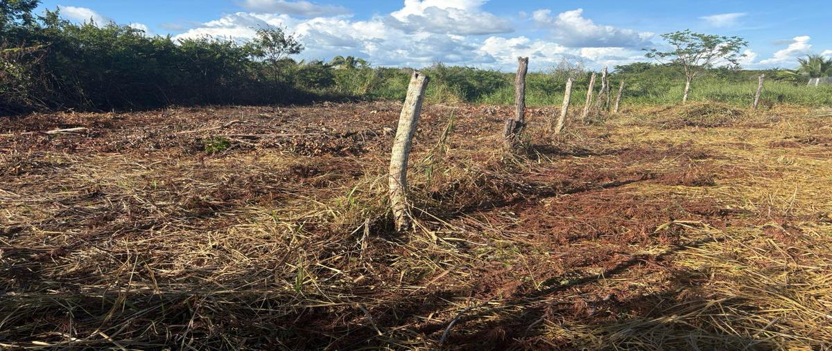 Foto de terreno habitacional en venta en  , bacalar dos, bacalar, quintana roo, 0 No. 03