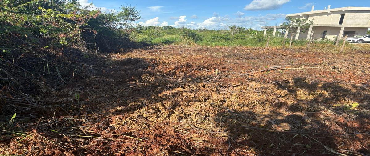 Foto de terreno habitacional en venta en  , bacalar dos, bacalar, quintana roo, 0 No. 04