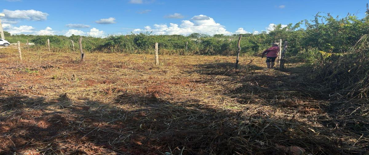 Foto de terreno habitacional en venta en  , bacalar dos, bacalar, quintana roo, 0 No. 05