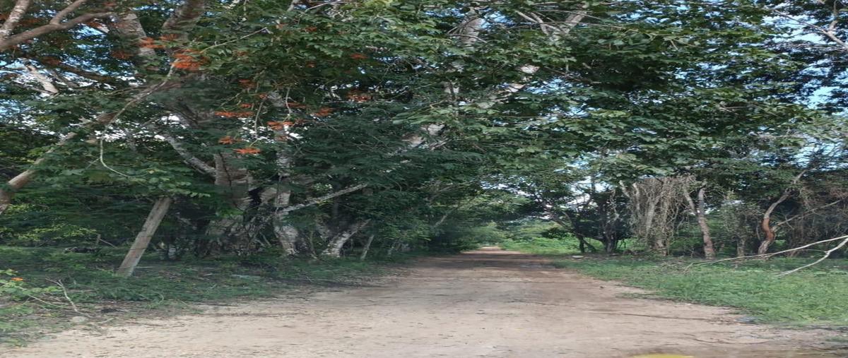 Foto de terreno habitacional en venta en  , bacalar dos, bacalar, quintana roo, 0 No. 05