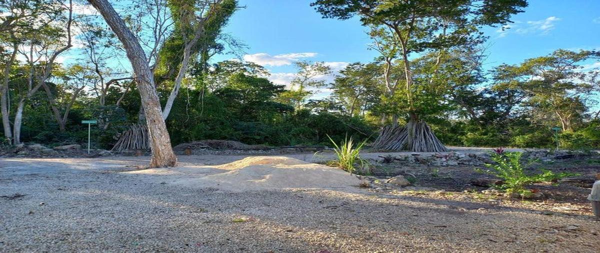 Foto de terreno habitacional en , bacalar dos, bacalar, quintana roo, 31338161 foto 03 Foto de terreno habitacional en venta en , bacalar dos, bacalar, quintana roo, 31338161 No. 03