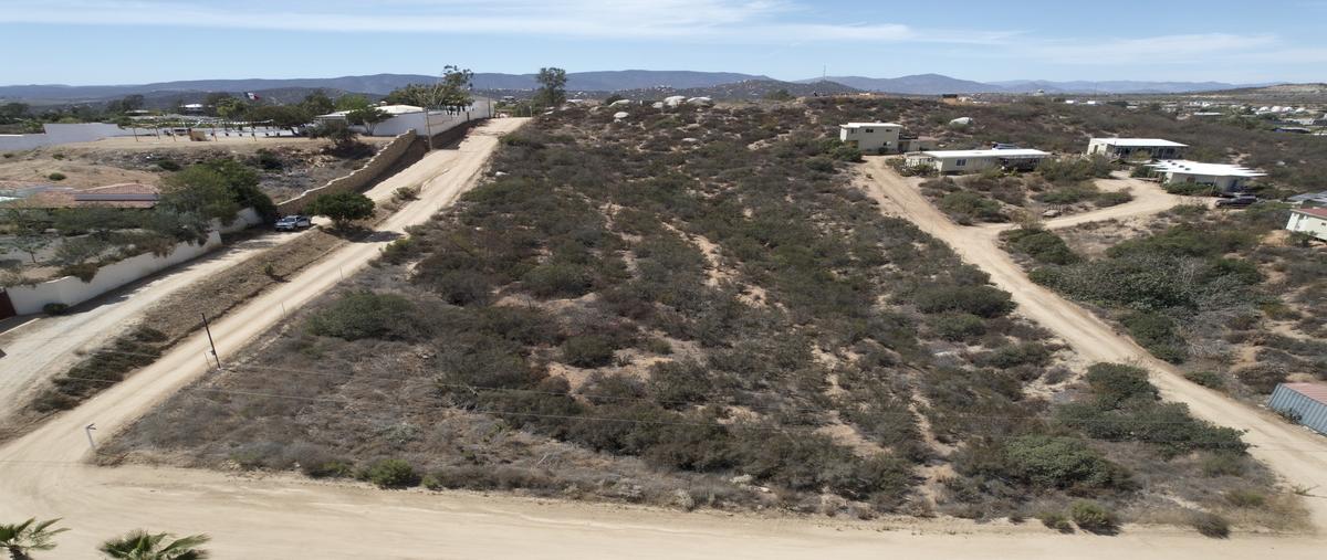 Foto de terreno habitacional en venta en bacanora , francisco zarco (valle de guadalupe), ensenada, baja california, 0 No. 04