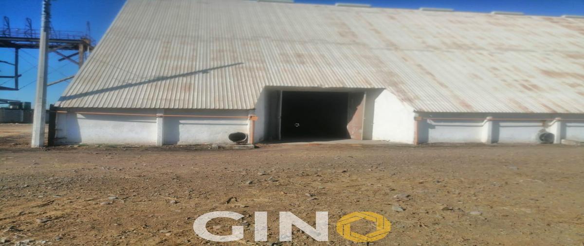 Foto de bodega en , bachigualato, culiacán, sinaloa, 0 foto 02 Foto de bodega en venta en , bachigualato, culiacán, sinaloa, 0 No. 02