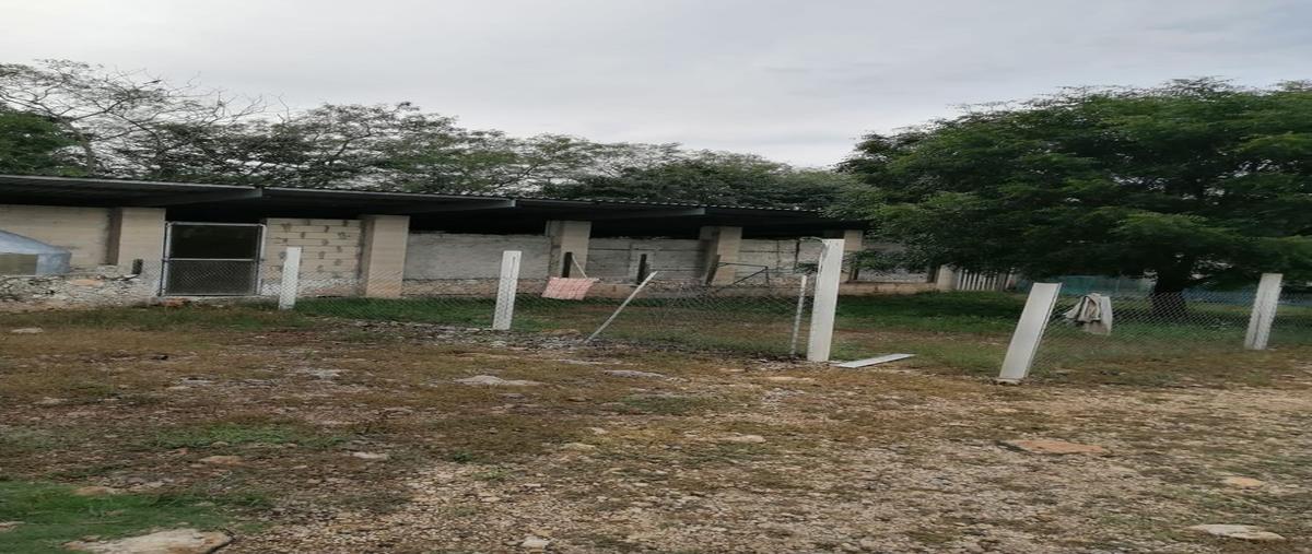 Foto de terreno habitacional en venta en bachoco 3 , baca, baca, yucatán, 25622576 No. 03