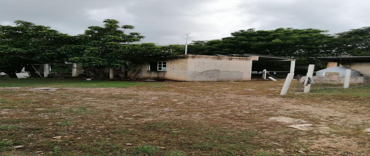 Foto de terreno habitacional en venta en bachoco 3 , baca, baca, yucatán, 25622576 No. 05