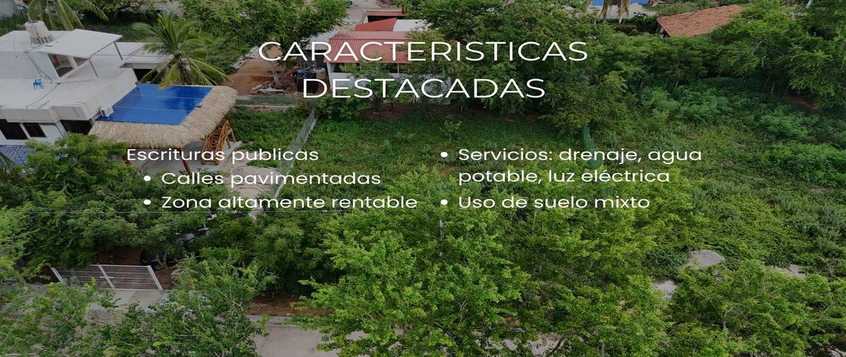 Foto de terreno habitacional en venta en  , bacocho, san pedro mixtepec -dto. 22 -, oaxaca, 30340274 No. 04