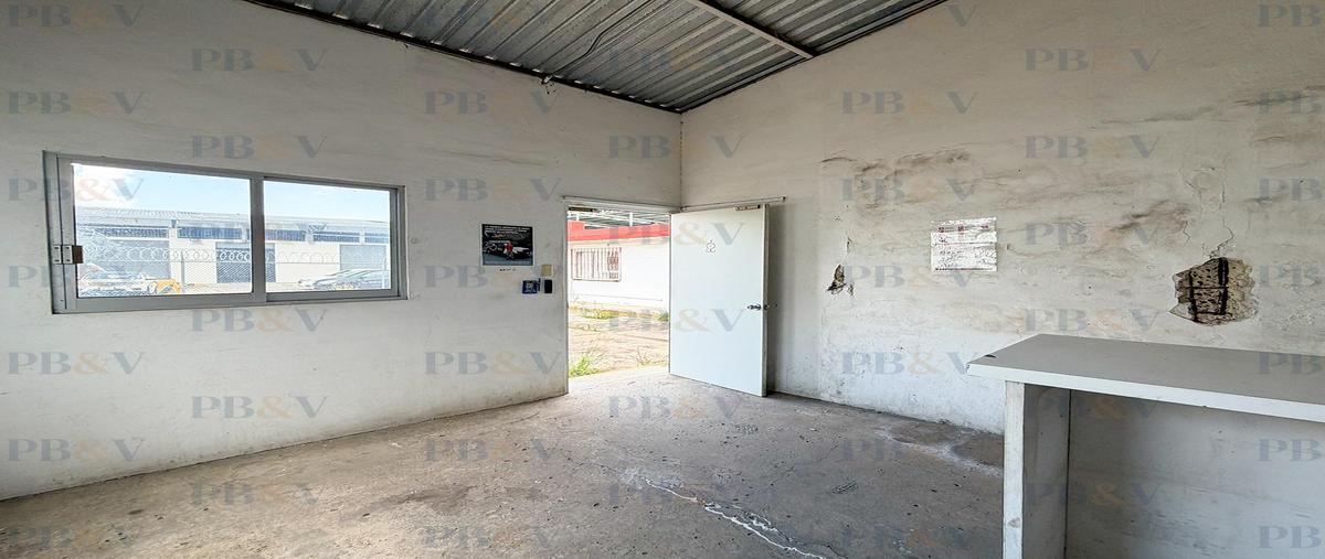 Foto de local en renta en  , badillo, xalapa, veracruz de ignacio de la llave, 0 No. 04