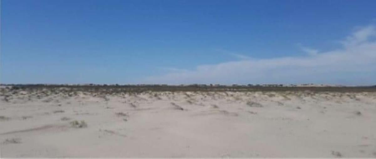 Foto de terreno habitacional en venta en  , bagdad, matamoros, tamaulipas, 0 No. 03