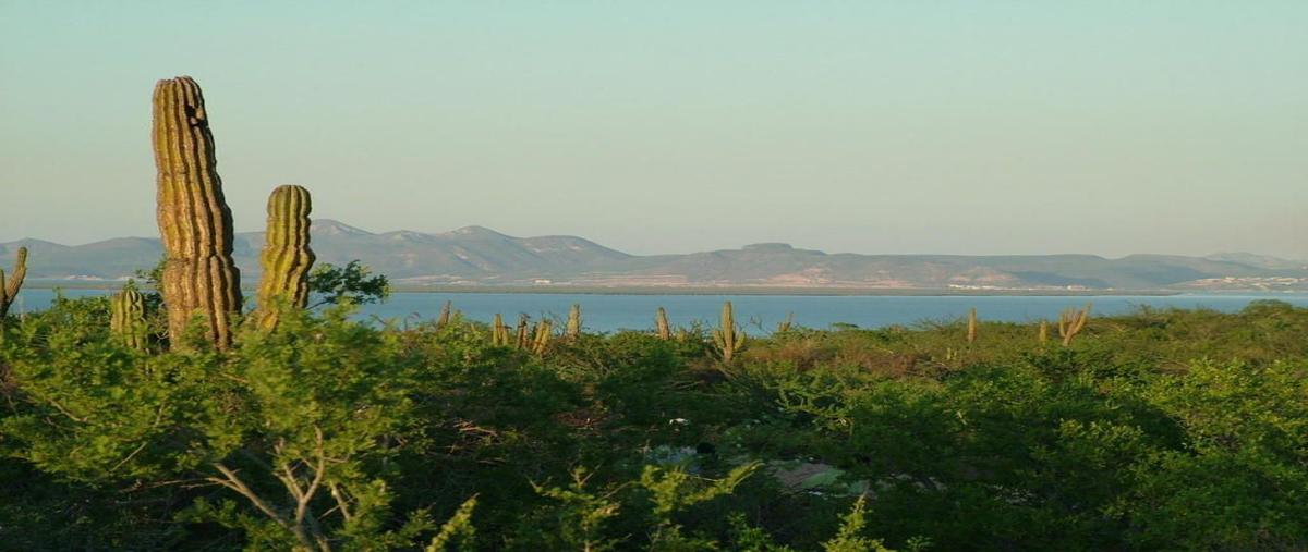 Foto de terreno habitacional en venta en bahía azul , el centenario, la paz, baja california sur, 0 No. 01