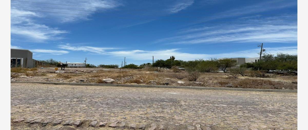 Foto de terreno habitacional en venta en bahía banderas , lomas de palmira, la paz, baja california sur, 0 No. 05