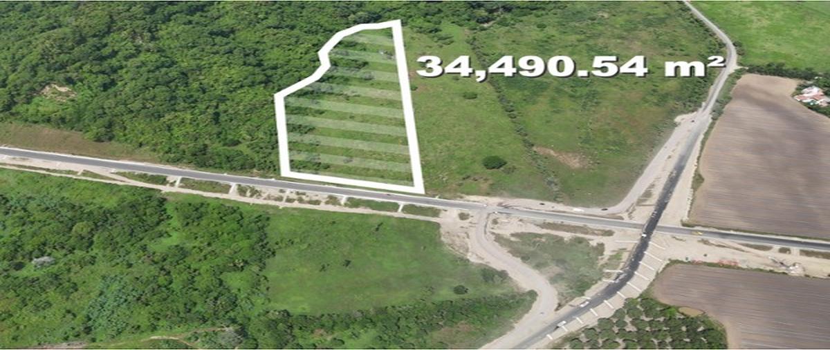 Foto de terreno comercial en venta en  , bahía de banderas, bahía de banderas, nayarit, 30004149 No. 03