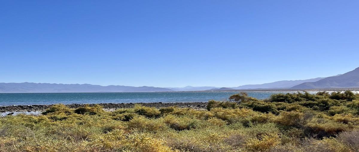 Foto de terreno habitacional en venta en  , bahía de los ángeles, ensenada, baja california, 29449443 No. 04