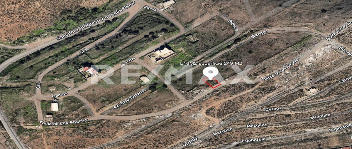 Foto de terreno habitacional en venta en bahia de los angeles , las palmas iii, ensenada, baja california, 30312485 No. 03