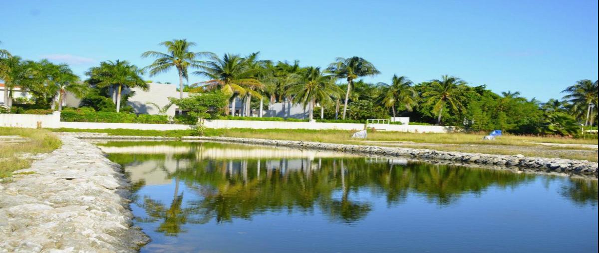 Foto de terreno habitacional en venta en  , bahía dorada, benito juárez, quintana roo, 0 No. 05