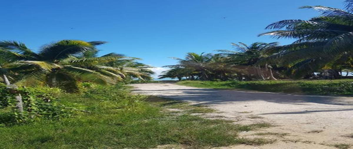 Foto de terreno habitacional en venta en  , bahía, othón p. blanco, quintana roo, 30889690 No. 04
