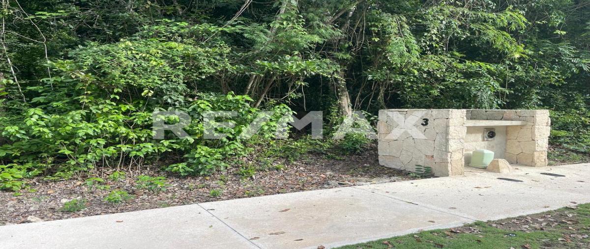 Foto de terreno habitacional en venta en bahia principe , akumal, tulum, quintana roo, 0 No. 05