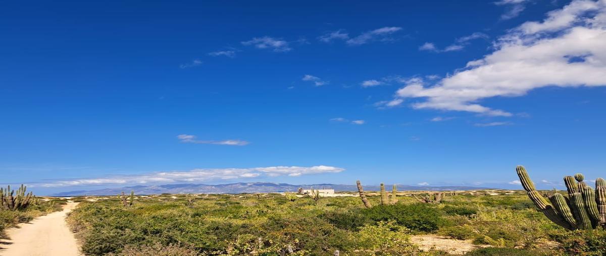 Foto de terreno habitacional en venta en bahía turquesa , el sargento, la paz, baja california sur, 26653579 No. 04