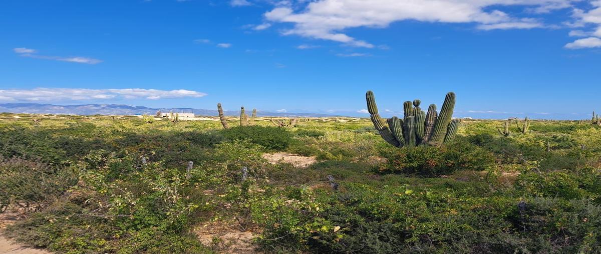 Foto de terreno habitacional en venta en bahía turquesa , el sargento, la paz, baja california sur, 26653579 No. 05