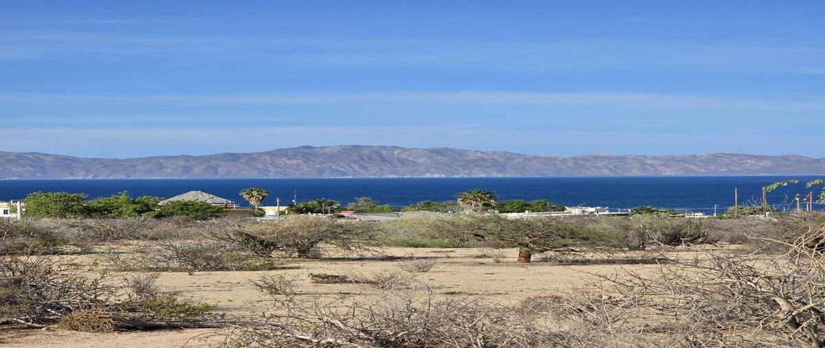 Foto de terreno habitacional en venta en bahía turquesa , el sargento, la paz, baja california sur, 0 No. 01