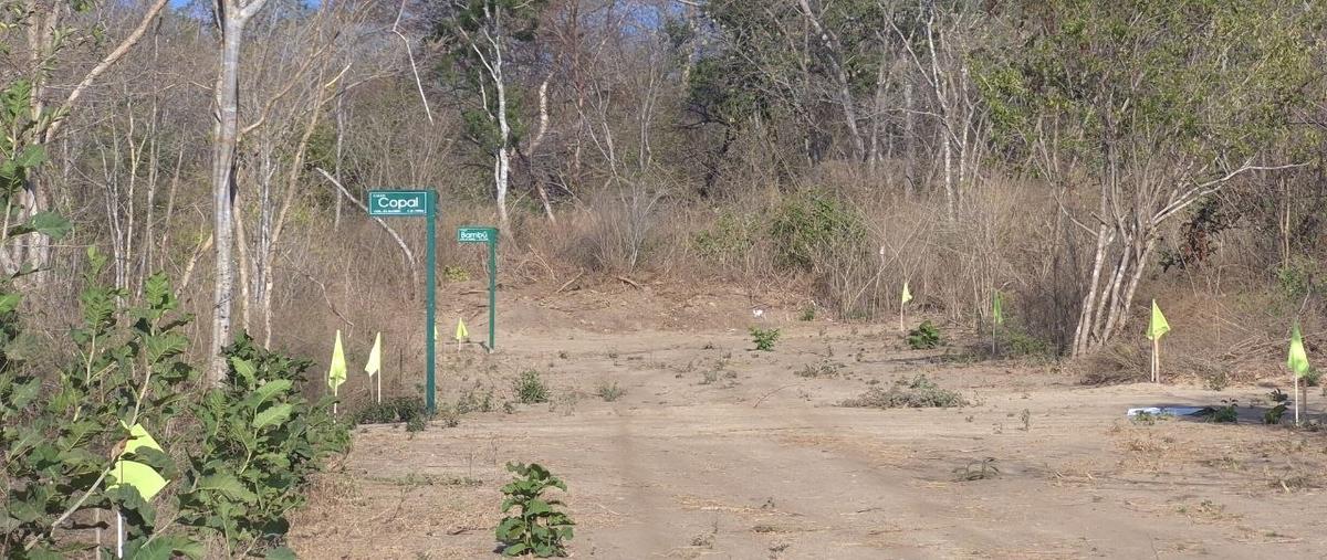 Foto de terreno habitacional en venta en  , bahías de huatulco, santa maría huatulco, oaxaca, 0 No. 03