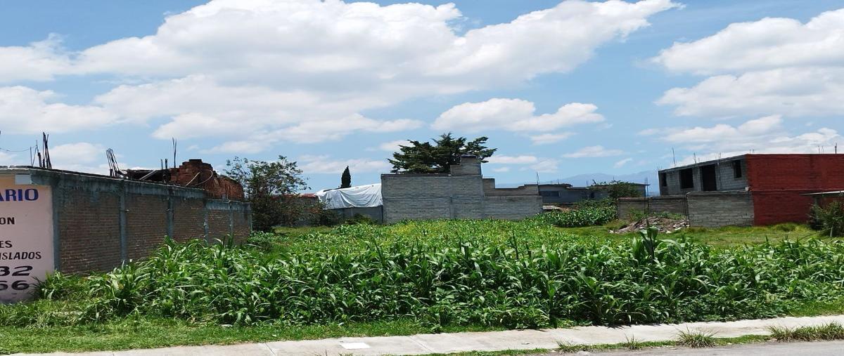Foto de terreno habitacional en baja california sur , jicaltepec cuexconitlán, toluca, méxico, 28252728 foto 05 Foto de terreno habitacional en venta en baja california sur , jicaltepec cuexconitlán, toluca, méxico, 28252728 No. 05