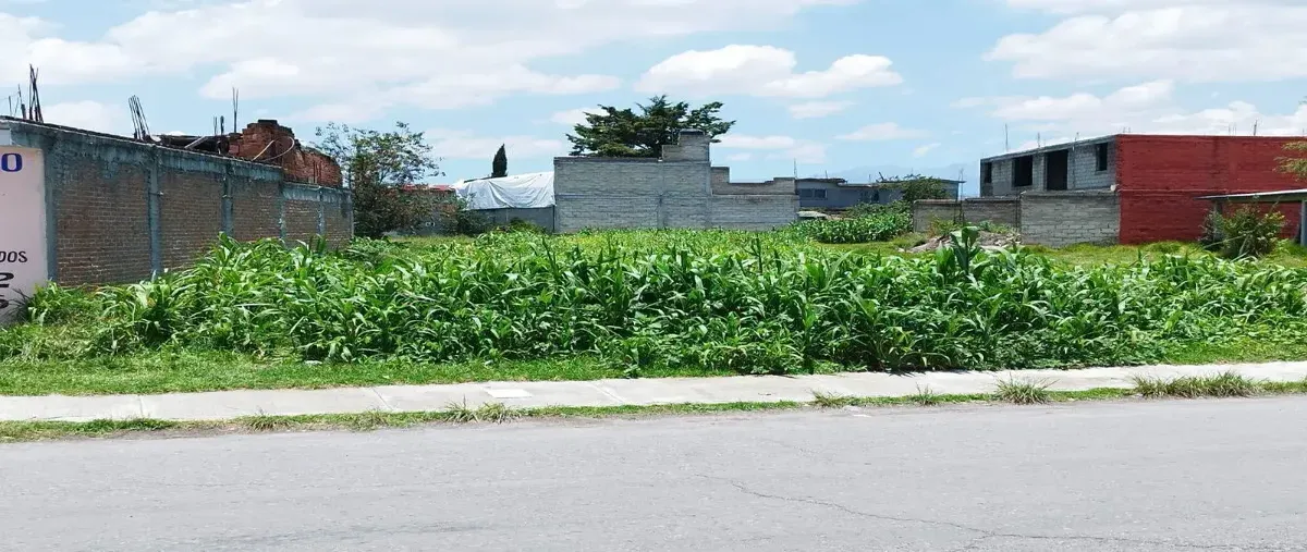 Foto de terreno habitacional en venta en baja california sur , jicaltepec cuexconitlán, toluca, méxico, 0 No. 04