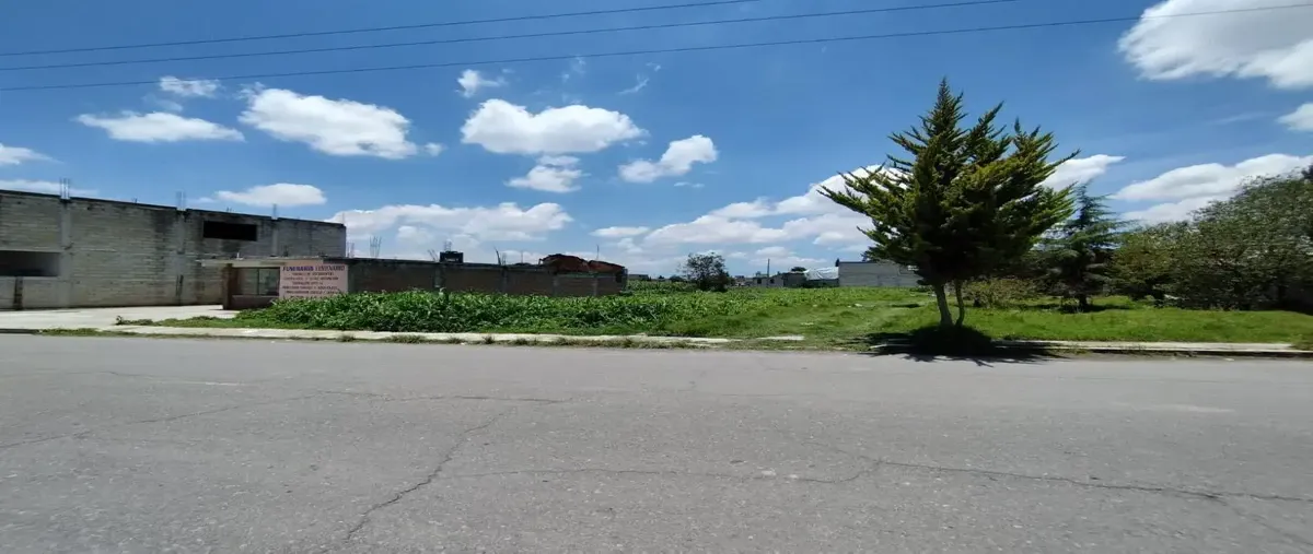 Foto de terreno habitacional en venta en baja california sur , jicaltepec cuexconitlán, toluca, méxico, 0 No. 05