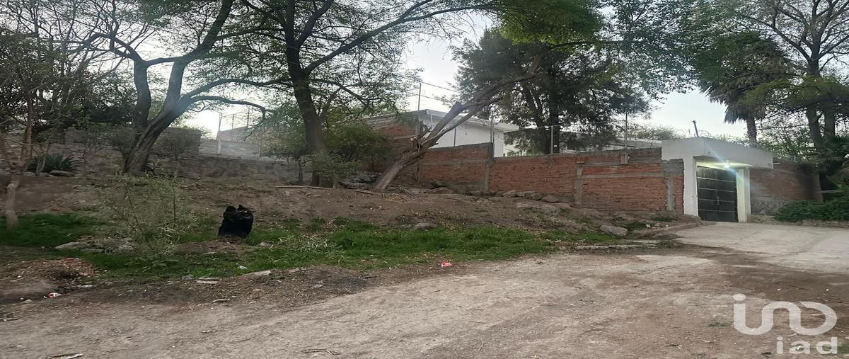 Foto de terreno habitacional en venta en bajada al sabinal , salto de los salados, aguascalientes, aguascalientes, 31050269 No. 04