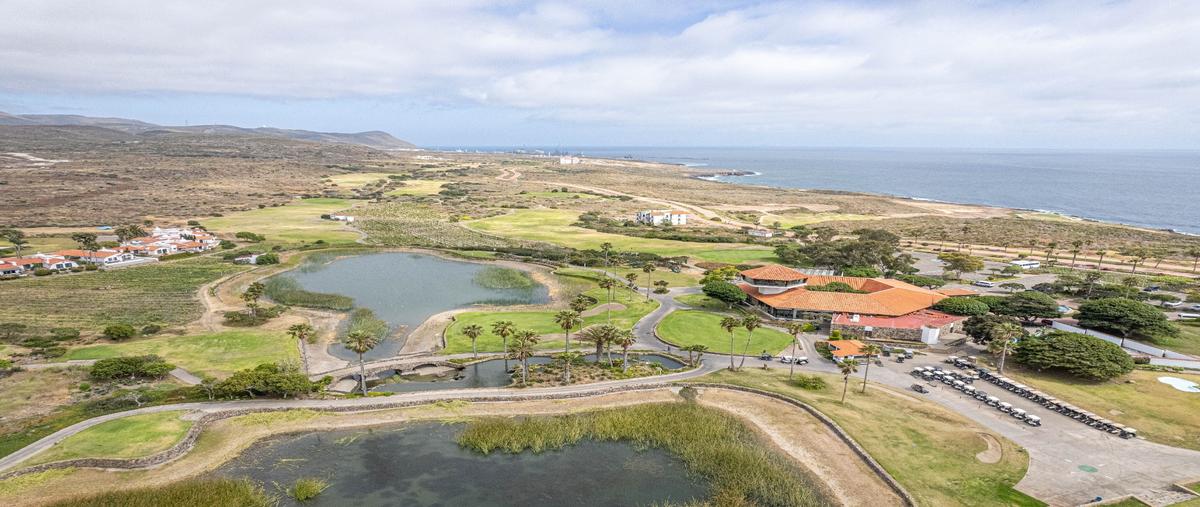 Foto de terreno habitacional en venta en  , bajamar, ensenada, baja california, 28110752 No. 04