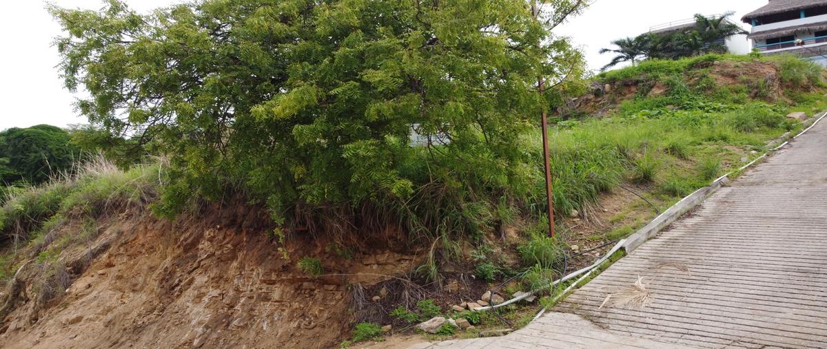 Foto de terreno habitacional en venta en  , bajos de chila, san pedro mixtepec -dto. 22 -, oaxaca, 28617362 No. 05