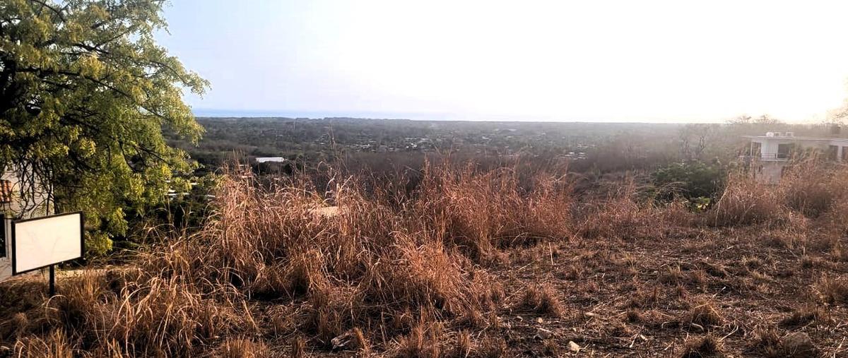 Foto de terreno habitacional en venta en  , bajos de chila, san pedro mixtepec -dto. 22 -, oaxaca, 0 No. 04