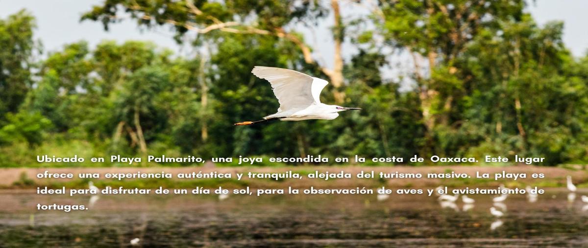 Foto de terreno habitacional en , bajos de chila, san pedro mixtepec -dto. 22 -, oaxaca, 0 foto 02 Foto de terreno habitacional en venta en , bajos de chila, san pedro mixtepec -dto. 22 -, oaxaca, 0 No. 02