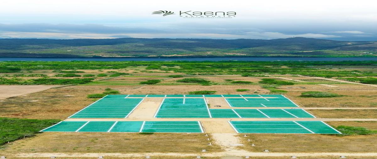 Foto de terreno habitacional en venta en  , bajos de chila, san pedro mixtepec -dto. 22 -, oaxaca, 30676690 No. 04