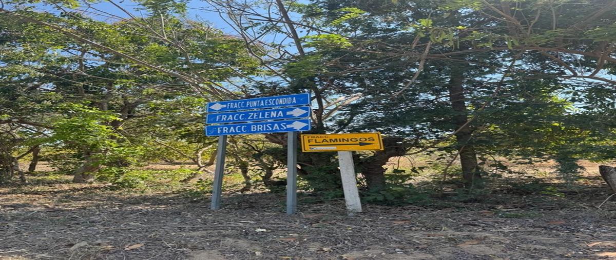 Foto de terreno habitacional en venta en  , bajos de chila, san pedro mixtepec -dto. 22 -, oaxaca, 0 No. 03