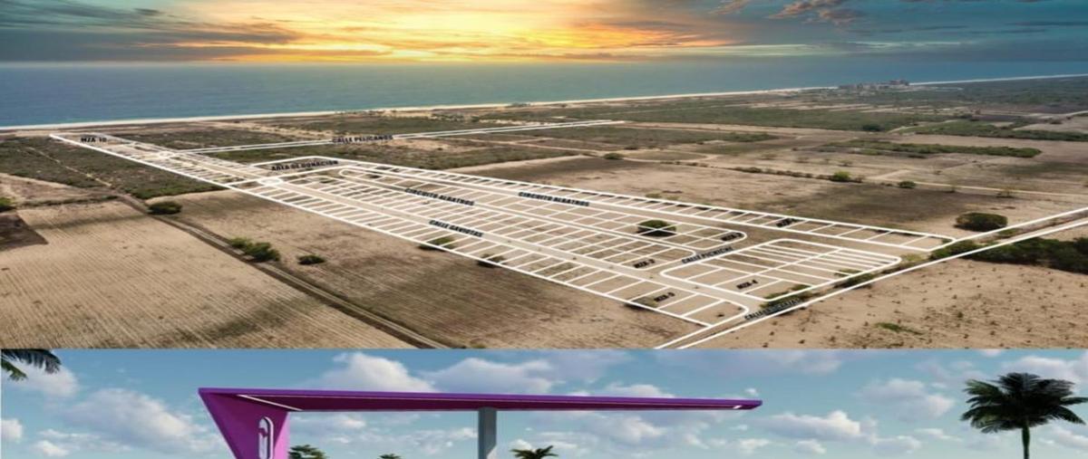 Foto de terreno habitacional en venta en  , bajos de chila, san pedro mixtepec -dto. 22 -, oaxaca, 0 No. 05