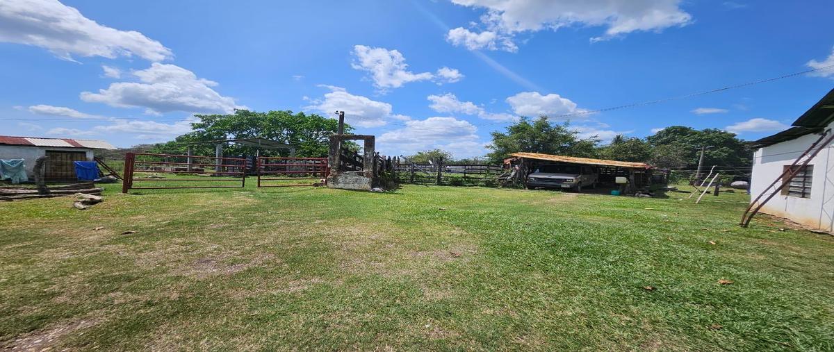Foto de terreno habitacional en venta en  , balancán centro, balancán, tabasco, 0 No. 03