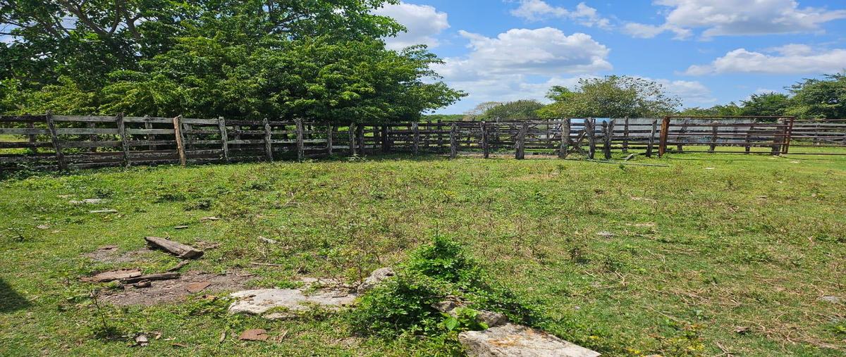 Foto de terreno habitacional en venta en  , balancán centro, balancán, tabasco, 0 No. 04