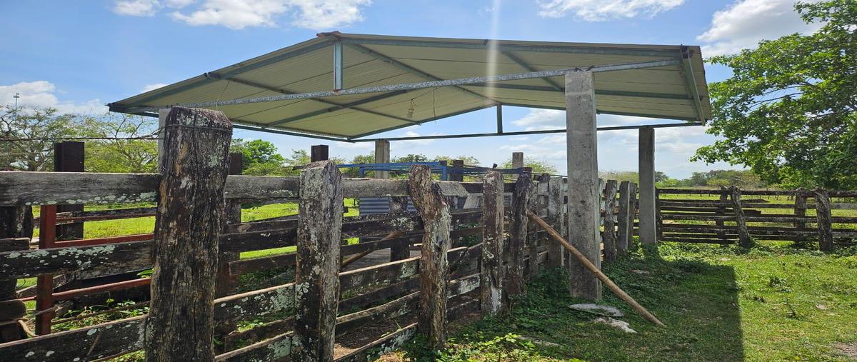 Foto de terreno habitacional en venta en  , balancán centro, balancán, tabasco, 0 No. 05